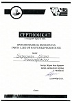 Береснев Игорь Рудольфович